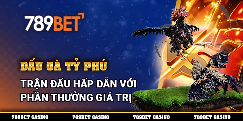 Đấu Gà Tỷ Phú - Trận Đấu Hấp Dẫn Với Phần Thưởng Giá Trị 1 Đấu Gà Tỷ Phú