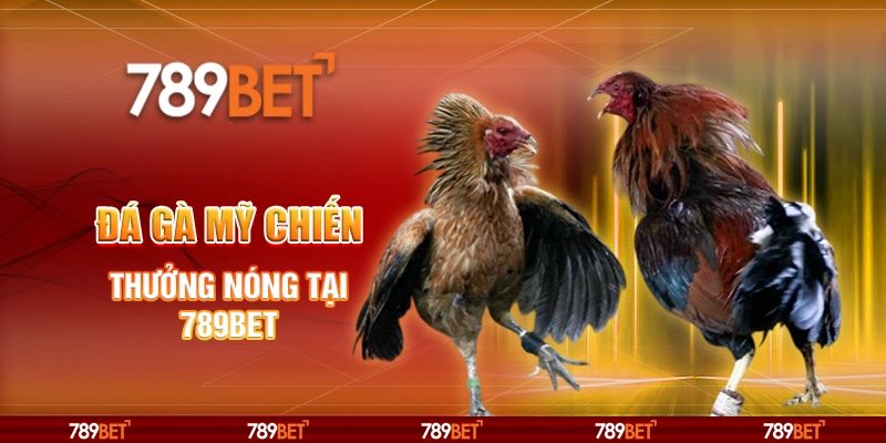 Đá Gà Mỹ Chiến Online - Thưởng Nóng Tại 789bet 10 Đá Gà Mỹ Chiến Online - Thưởng Nóng Tại 789bet