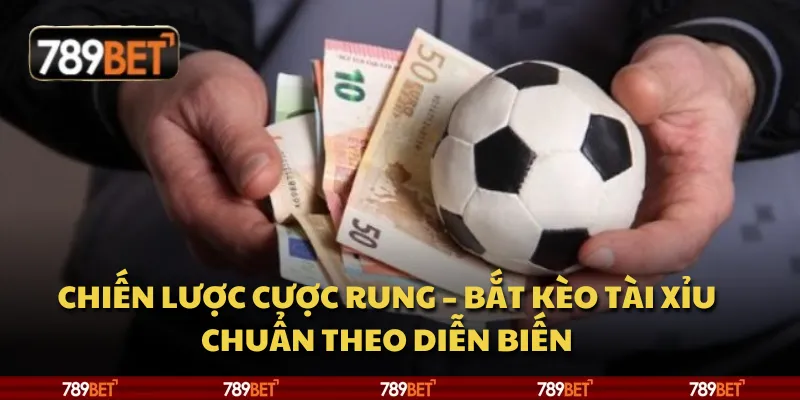 Chiến lược cược rung – Bắt kèo tài xỉu chuẩn theo diễn biến 2 Chiến lược cược rung – Bắt kèo tài xỉu chuẩn theo diễn biến